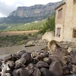 Cal Cosials Holiday home La Morera de Montsant