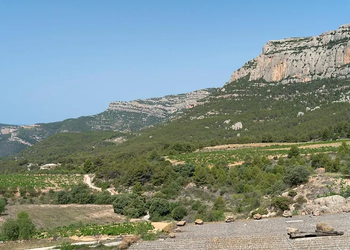 Cal Cosials La Morera de Montsant