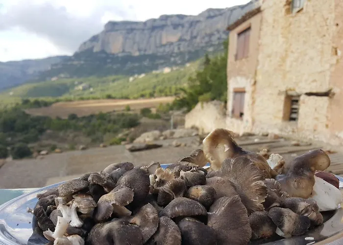 Cal Cosials La Morera de Montsant